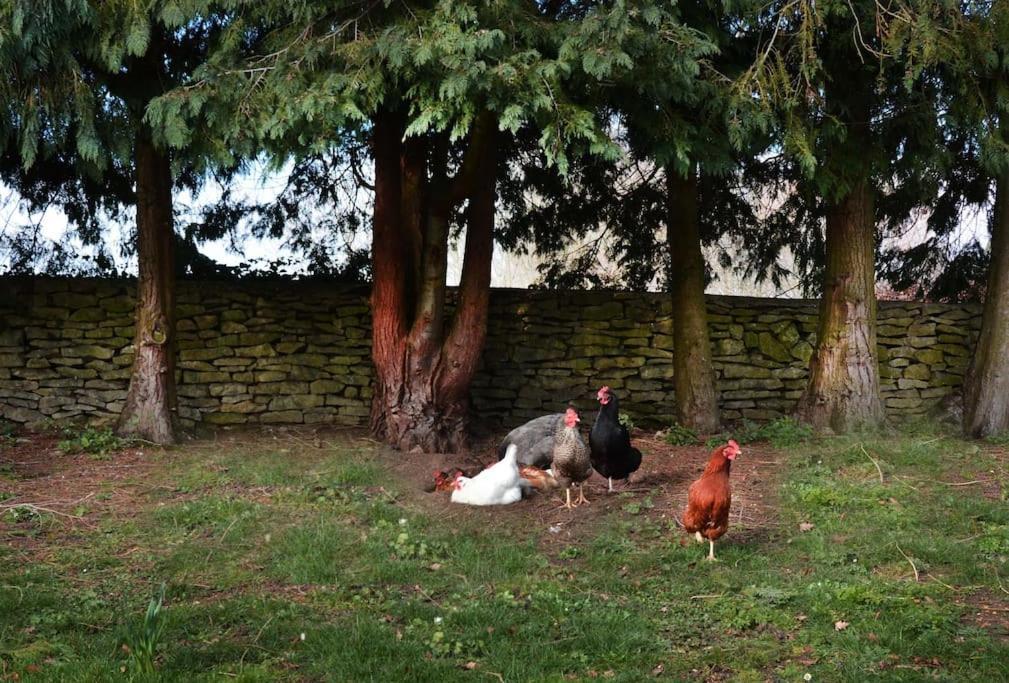 Dove House Cottages - No 1 옥스퍼드 외부 사진